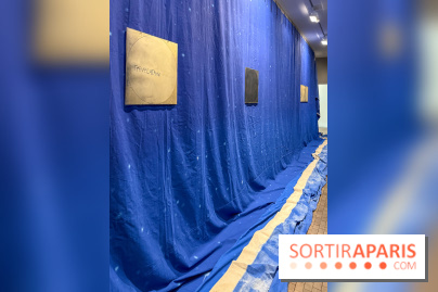 Ciel clair / eaux troubles : l’exposition de Steffani Jemison à Lafayette Anticipations à Paris - IMG 0062