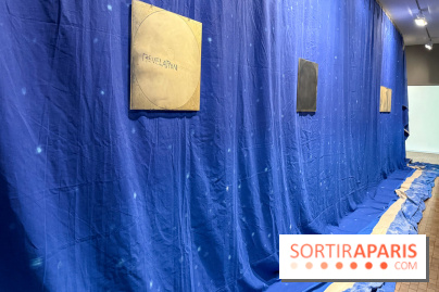 Ciel clair / eaux troubles : l’exposition de Steffani Jemison à Lafayette Anticipations à Paris - IMG 0063