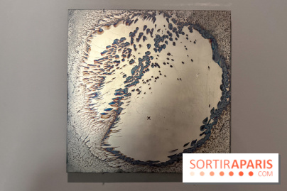 Ciel clair / eaux troubles : l’exposition de Steffani Jemison à Lafayette Anticipations à Paris - IMG 0066