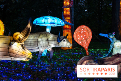 Thoiry Lumières Sauvages 2025 : le Bal des Esprits - A7C09479