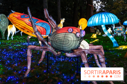 Thoiry Lumières Sauvages 2025 : le Bal des Esprits - A7C09480