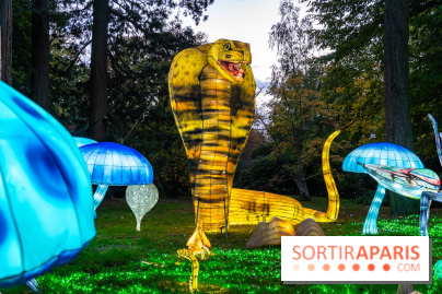 Thoiry Lumières Sauvages 2025 : le Bal des Esprits