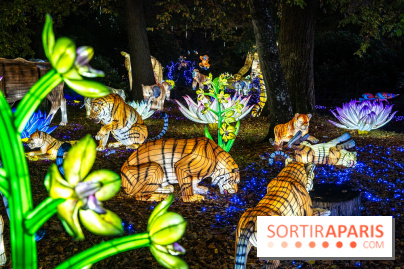 Thoiry Lumières Sauvages 2025 : le Bal des Esprits - A7C09485