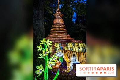 Thoiry Lumières Sauvages 2025 : le Bal des Esprits - A7C09486