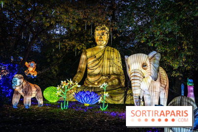 Thoiry Lumières Sauvages 2025 : le Bal des Esprits - A7C09487