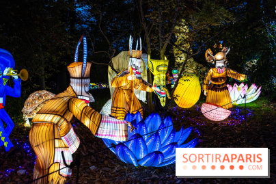 Thoiry Lumières Sauvages 2025 : le Bal des Esprits - A7C09491