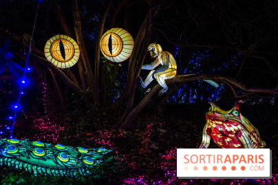 Thoiry Lumières Sauvages 2025 : le Bal des Esprits - A7C09492