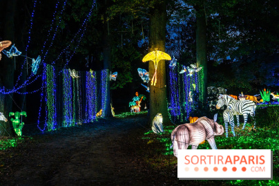 Thoiry Lumières Sauvages 2025 : le Bal des Esprits - A7C09500