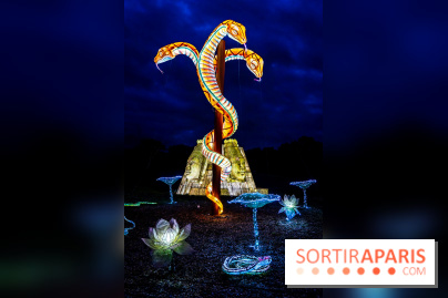 Thoiry Lumières Sauvages 2025 : le Bal des Esprits - A7C09503