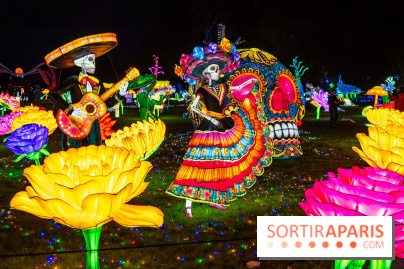 Thoiry Lumières Sauvages 2025 : le Bal des Esprits - A7C09519