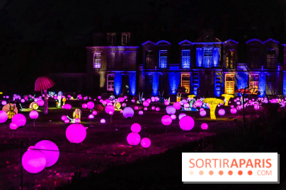 Thoiry Lumières Sauvages 2025 : le Bal des Esprits - A7C09531