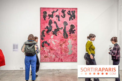 Palais de Tokyo : ECHO DELAY REVERB, l'expo mettant à l’honneur la création américaine contemporaine - IMG 0181