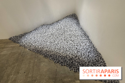 Palais de Tokyo : ECHO DELAY REVERB, l'expo mettant à l’honneur la création américaine contemporaine - IMG 0198