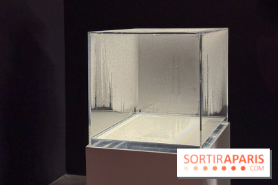 Palais de Tokyo : ECHO DELAY REVERB, l'expo mettant à l’honneur la création américaine contemporaine - IMG 0216