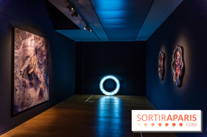 Exposition 'Couleurs de Corée, Lumière sur l’art contemporain coréen' au Centre Culturel Coréen - les photos - A7C09782