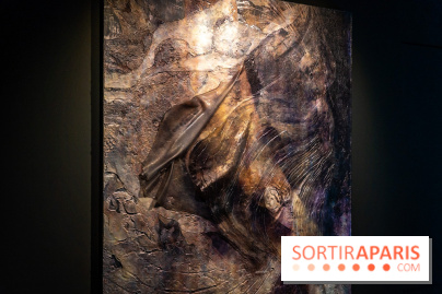 Exposition 'Couleurs de Corée, Lumière sur l’art contemporain coréen' au Centre Culturel Coréen - les photos - A7C09784