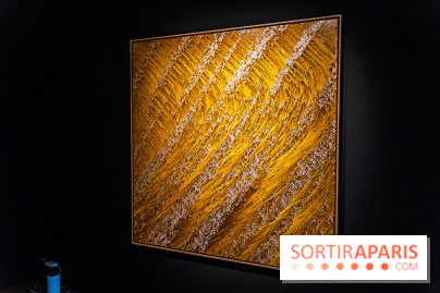 Exposition 'Couleurs de Corée, Lumière sur l’art contemporain coréen' au Centre Culturel Coréen - les photos - A7C09785