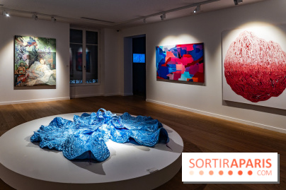 Exposition 'Couleurs de Corée, Lumière sur l’art contemporain coréen' au Centre Culturel Coréen - les photos - A7C09793