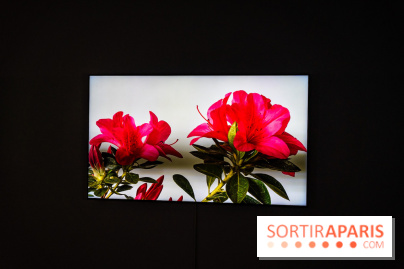 Exposition 'Couleurs de Corée, Lumière sur l’art contemporain coréen' au Centre Culturel Coréen - les photos - A7C09797