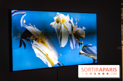 Exposition 'Couleurs de Corée, Lumière sur l’art contemporain coréen' au Centre Culturel Coréen - les photos - A7C09798