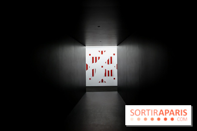 Daniel Buren et Miles Greenberg, nos photos de l'expo au Reiffers Art Inititiatives à Paris