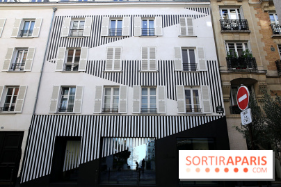 Daniel Buren et Miles Greenberg, nos photos de l'expo au Reiffers Art Inititiatives à Paris 