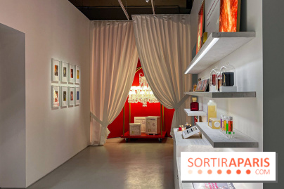 Parfum, sculpture de l'invisible : l'exposition retrospective évènement de Francis Kurkdjian à Paris - IMG 1616 jpg