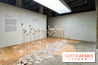 Parfum, sculpture de l'invisible : l'exposition retrospective évènement de Francis Kurkdjian à Paris - IMG 1641 jpg 3