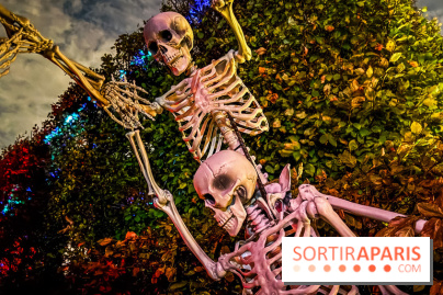 Le Parc de l'étrange 2025, Halloween au Parc André Citroën à Paris - photos - IMG 9810