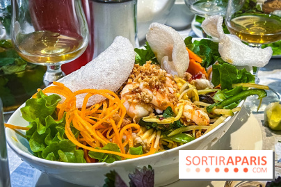 Le Bambou restaurant vietnamien Paris 13e - photos - salade de mangue verte
