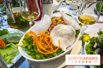 Le Bambou restaurant vietnamien Paris 13e - photos - salade de mangue verte aux crevettes