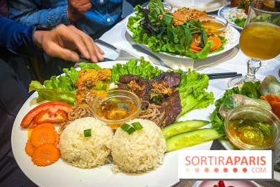 Le Bambou restaurant vietnamien Paris 13e - photos - riz aux trois trésors