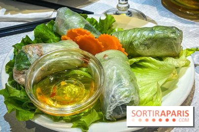 Le Bambou restaurant vietnamien Paris 13e - photos - rouleaux de printemps