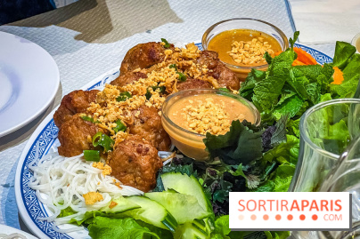Le Bambou restaurant vietnamien Paris 13e - photos - new nuong