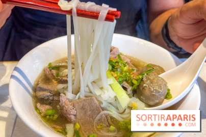 Le Bambou restaurant vietnamien Paris 13e - photos - Pho