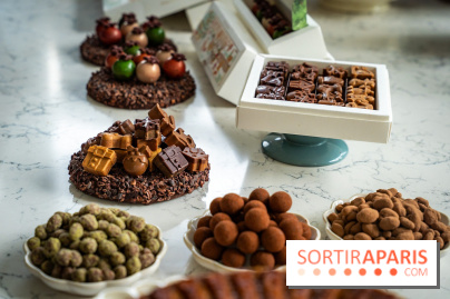 Les Bûches de Noël de Pleincœur par Maxime Frédéric 2025 et ses créations de fêtes - A7C07663