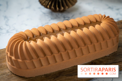 Les Bûches de Noël de Pleincœur par Maxime Frédéric 2025 et ses créations de fêtes - A7C07672