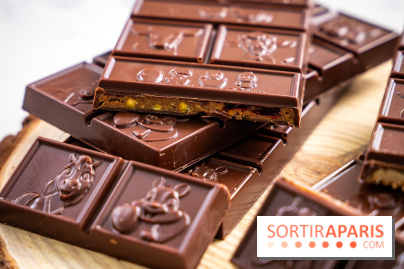 Les Bûches de Noël de Pleincœur par Maxime Frédéric 2025 et ses créations de fêtes - A7C07679