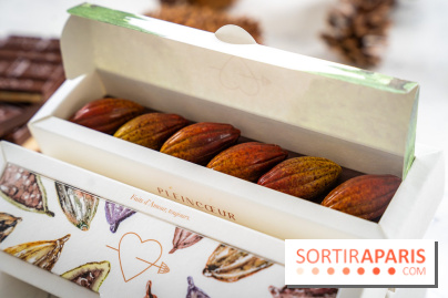 Les Bûches de Noël de Pleincœur par Maxime Frédéric 2025 et ses créations de fêtes - A7C07682