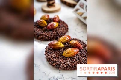 Les Bûches de Noël de Pleincœur par Maxime Frédéric 2025 et ses créations de fêtes - A7C07683