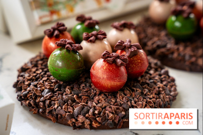 Les Bûches de Noël de Pleincœur par Maxime Frédéric 2025 et ses créations de fêtes - A7C07684