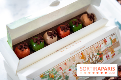 Les Bûches de Noël de Pleincœur par Maxime Frédéric 2025 et ses créations de fêtes - A7C07685