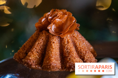 La Bûche de Noël du Péninsula 2025 : Joyaux des Pins - A7C07899