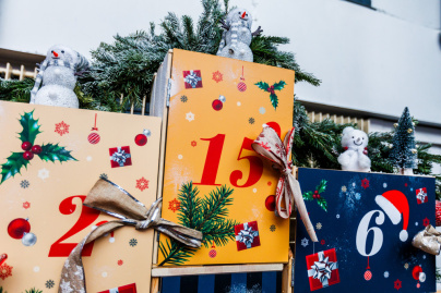 Les dimanches à l’Hippodrome Paris-Vincennes - BV 20241215104159BV  3953