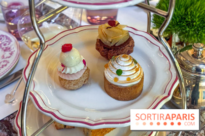 Tea Time Crillon - IMG 9431 2