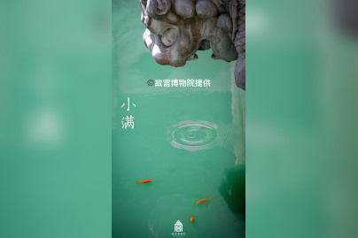 « Un siècle de conservation – de la Cité interdite au Musée du Palais » au Centre Culturel de Chine - 8小满