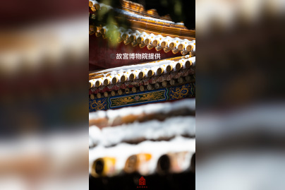 « Un siècle de conservation – de la Cité interdite au Musée du Palais » au Centre Culturel de Chine - 21大雪