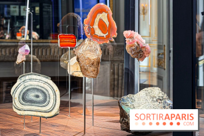 Rêveries de pierres : l'exposition rétrospective gratuite à l'Ecole des Arts Joailliers - IMG 0014