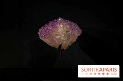 Rêveries de pierres : l'exposition rétrospective gratuite à l'Ecole des Arts Joailliers - IMG 0016