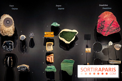 Rêveries de pierres : l'exposition rétrospective gratuite à l'Ecole des Arts Joailliers - IMG 0048